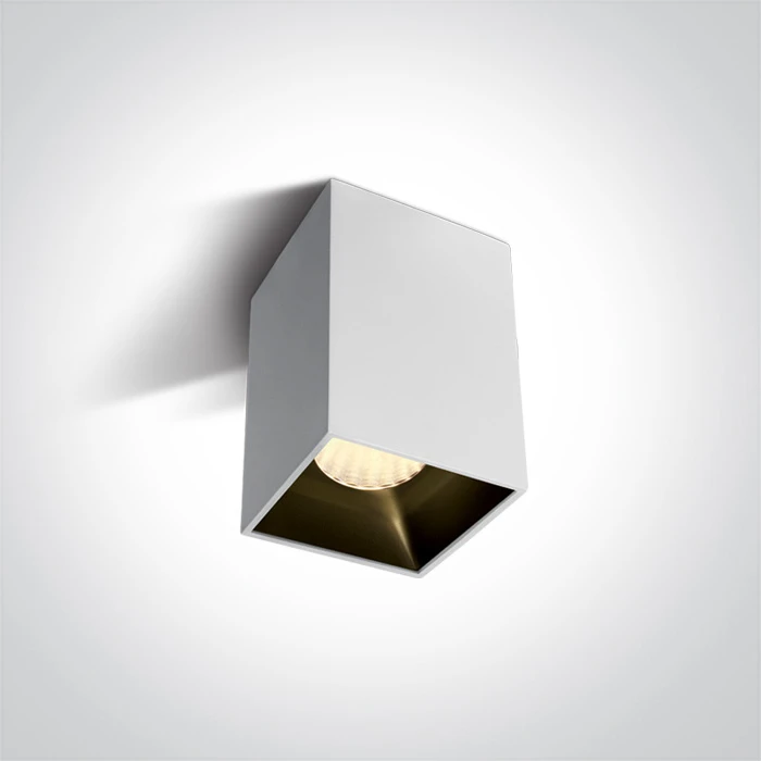 Lubinis šviestuvas 20W LED paviršinis šviestuvas, baltas, 3000K, 12120ZA/W/W