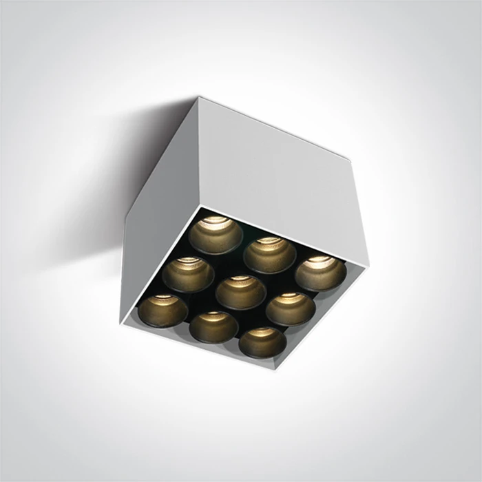 Lubinis šviestuvas 20W LED paviršinis šviestuvas, baltas, 3000K, 12906C/W/W