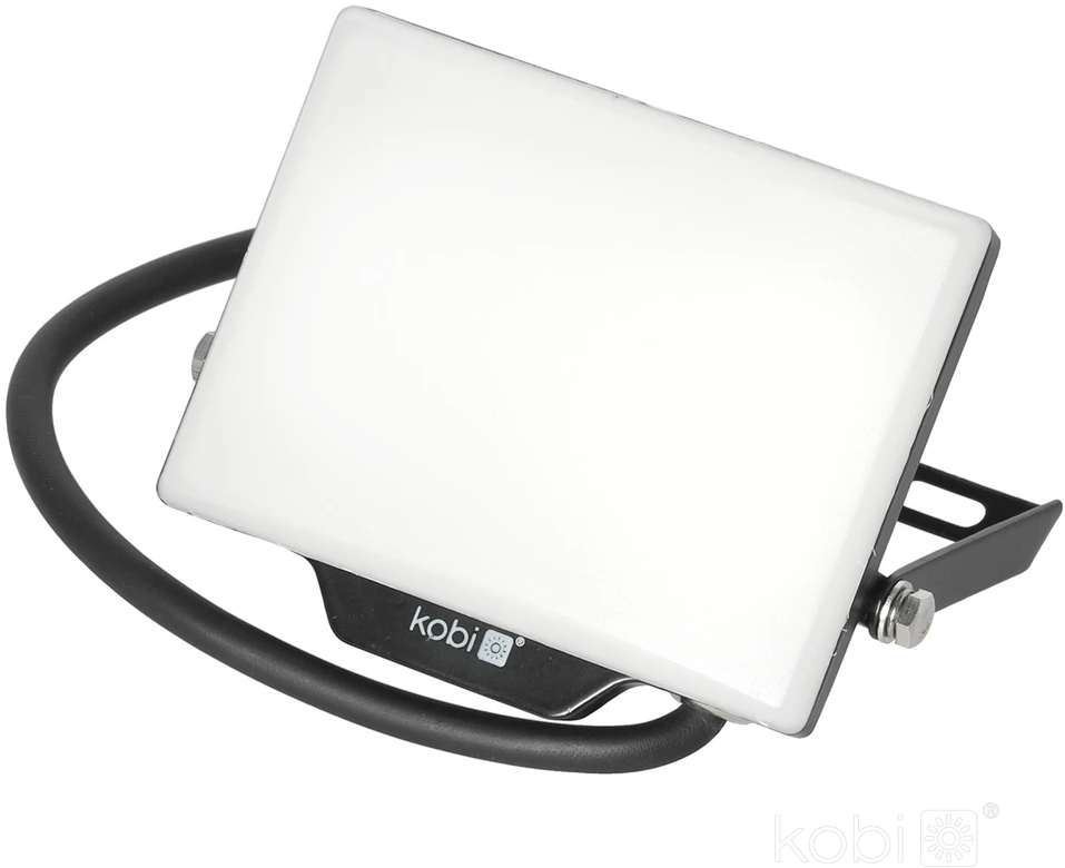 20W LED prožektorius DELYO MHN, juodas, 6000K, IP65