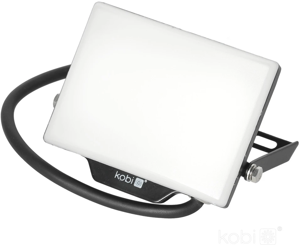 20W LED prožektorius DELYO MHN, juodas, 4000K, IP65