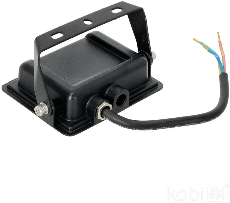 20W LED prožektorius MH, juodas, 6500K, IP65