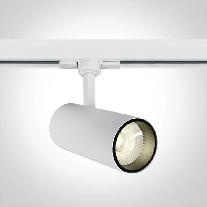 Lubinis šviestuvas 20W LED šviestuvas į bėgelius, baltas, 4000K, 65642BT/W/C