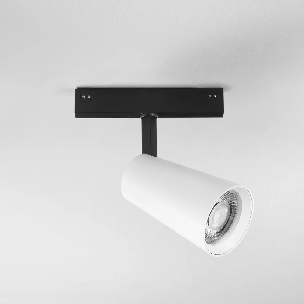 20W LED šviestuvas, montuojamas į DAVINCI sistemą, baltas, 3000K