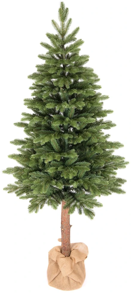 220 cm Kalėdinė eglutė „Skandinaviškas kėnis“