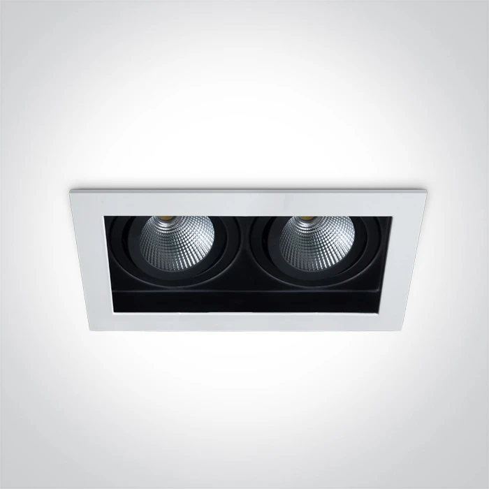 2x12W LED įleidžiamas pakreipiamas šviestuvas, baltas, 3000K, 51212E/W/W