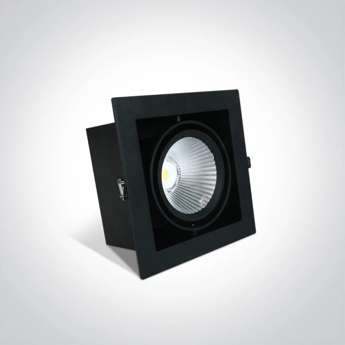 30W LED įleidžiamas pakreipiamas šviestuvas, juodas, 4000K, 51130/B/C