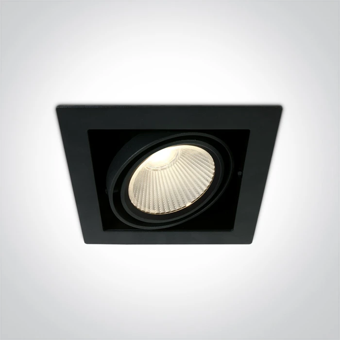 30W LED įleidžiamas pakreipiamas šviestuvas, juodas, 3000K, 51130/B/W