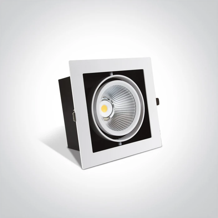 30W LED įleidžiamas šviestuvas, baltas, 4000K, 51130/W/C