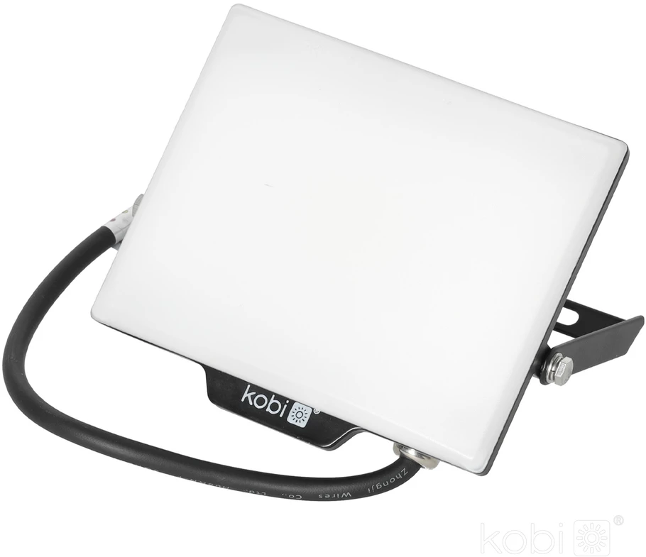 30W LED prožektorius DELYO MHN, juodas, 6000K, IP65