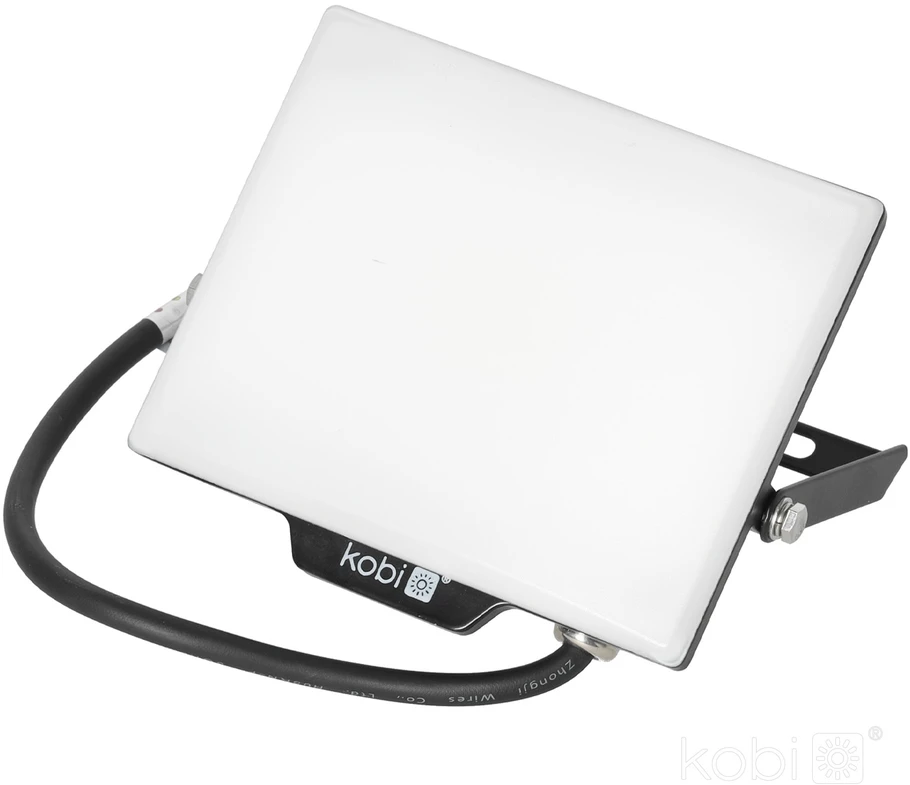 30W LED prožektorius DELYO MHN, juodas, 4000K, IP65