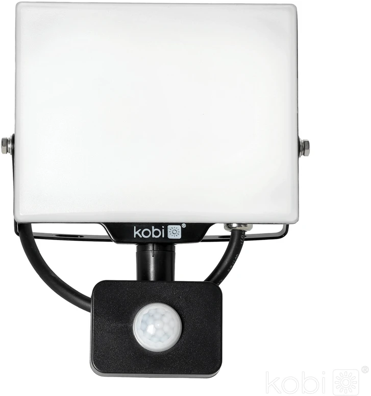30W LED prožektorius su judesio davikliu DELYO MHNC, juodas, 4000K, IP54