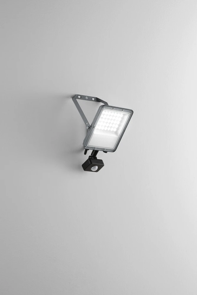 30W LED prožektorius su judesio davikliu ESUS, sidabro sp., CCT, IP54