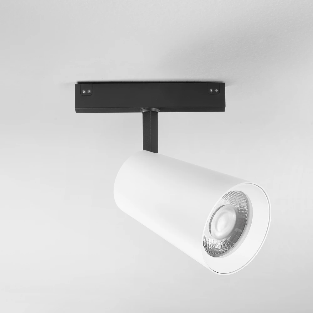 30W LED šviestuvas, montuojamas į DAVINCI sistemą, baltas, 3000K