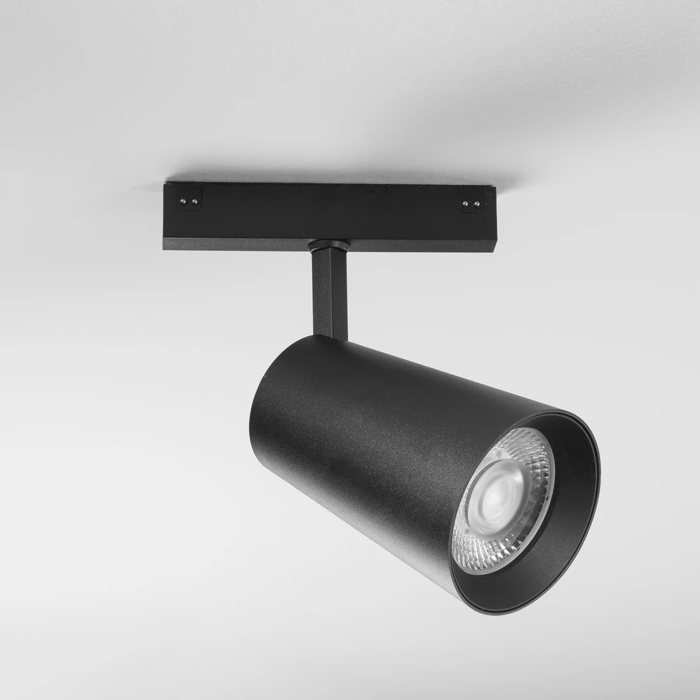 30W LED šviestuvas, montuojamas į DAVINCI sistemą, juodas, 3000K
