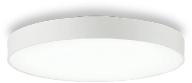 Lubinis šviestuvas Ideal Lux 31W ceiling lamp with 1 light HALO, 3000K, transparent