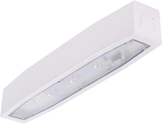 Intelight 3,5W avarinis šviestuvas SUPREMA SO 650 NM 2H AT IP54 NT, baltas