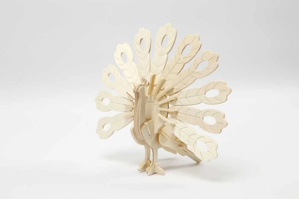 CREATIV 3 D medinis konstruktorius, POVAS