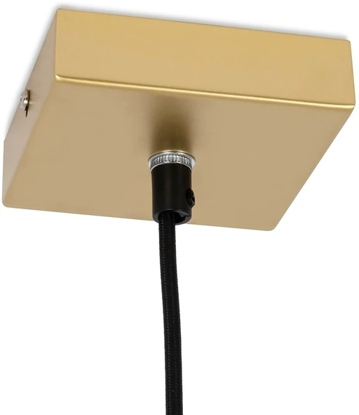 40W LED pakabinamas šviestuvas HOPP, T9, aukso sp., 3000K, parduodamas su T9 lempa