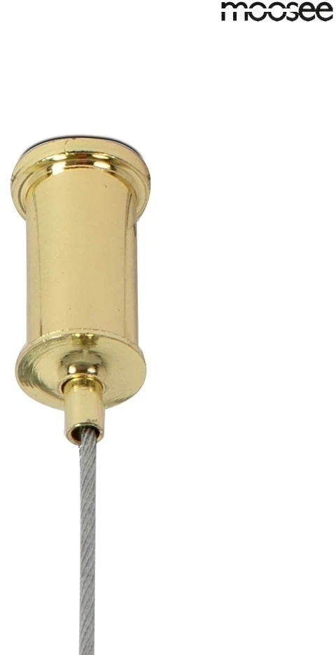 40W LED pakabinamas šviestuvas LASSO 200 SMART, aukso sp., 3000/4000K