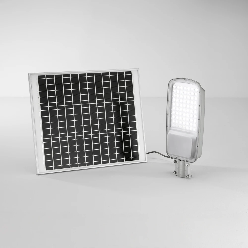 48W LED gatvės šviestuvas su saulės baterija RADIUS, sidabro sp., 3000K, IP65