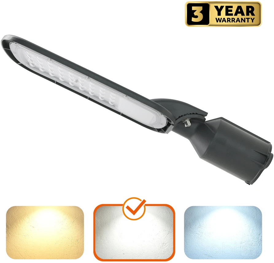 50W LED gatvės šviestuvas BRELUXO, pilkas, 4000K, IP65
