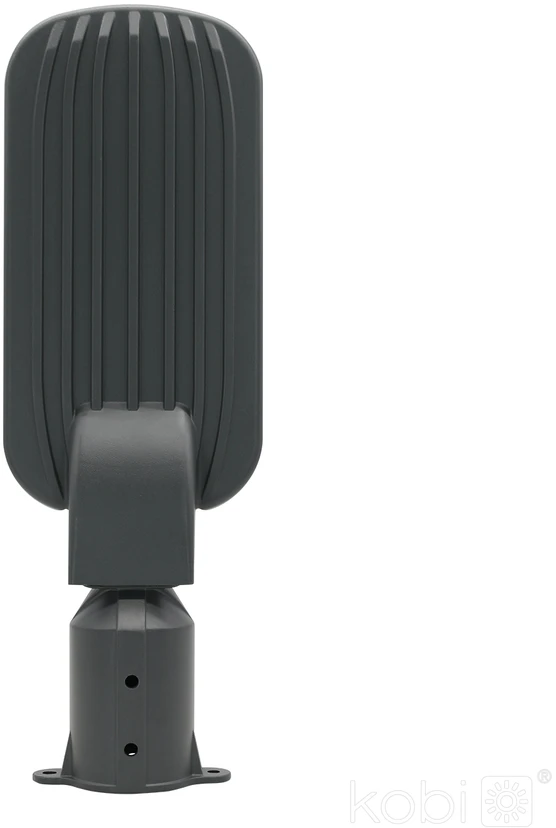 50W LED gatvės šviestuvas BRELUXO, pilkas, 4000K, IP65