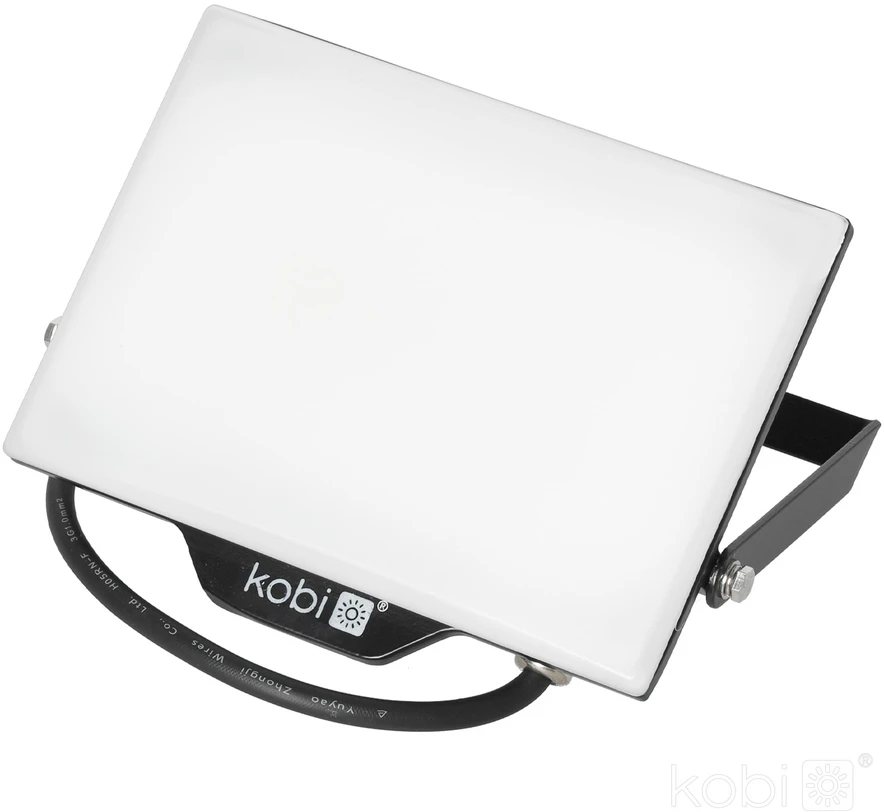 50W LED prožektorius DELYO MHN, juodas, 4000K, IP65