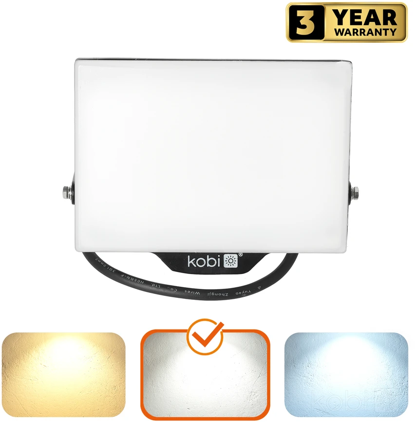 50W LED prožektorius DELYO MHN, juodas, 4000K, IP65