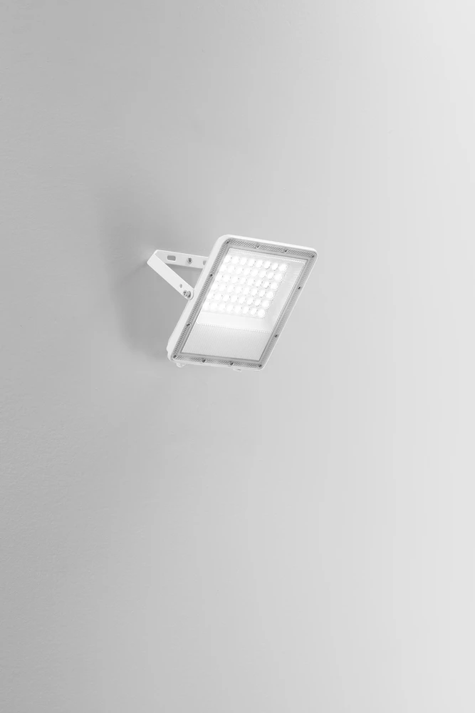 50W LED prožektorius ESUS, baltas, CCT, IP65