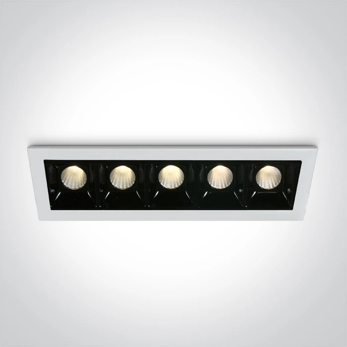 5x2W LED įleidžiamas šviestuvas, baltas, 3000K, 50502B/W/W