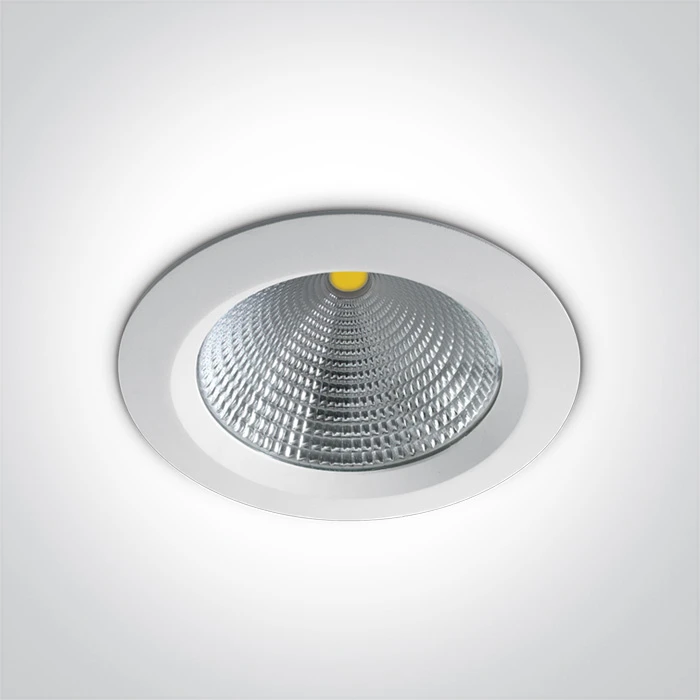 60W LED įleidžiamas šviestuvas, baltas, 3000K, 10160CA/W/W