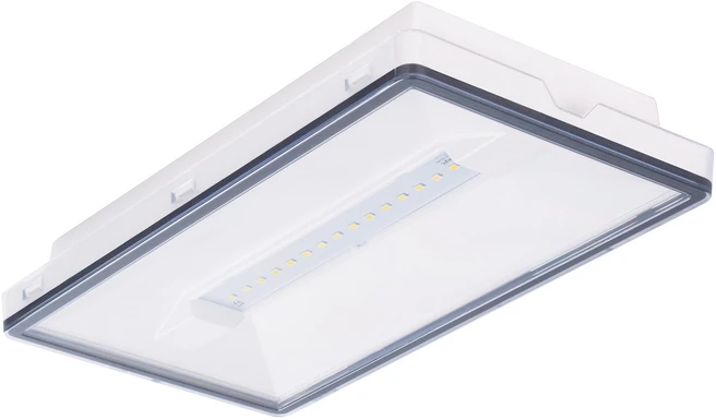 6W evakuacinis šviestuvas VELLA SOH 250 CB IP65, baltas