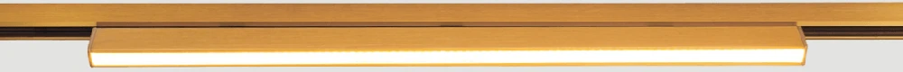 6W LED linijinis šviestuvas į magnetinę sistemą ZAMBELIS MAGNETIC 6MM, žalvario sp., 3000K, DALI, 25250