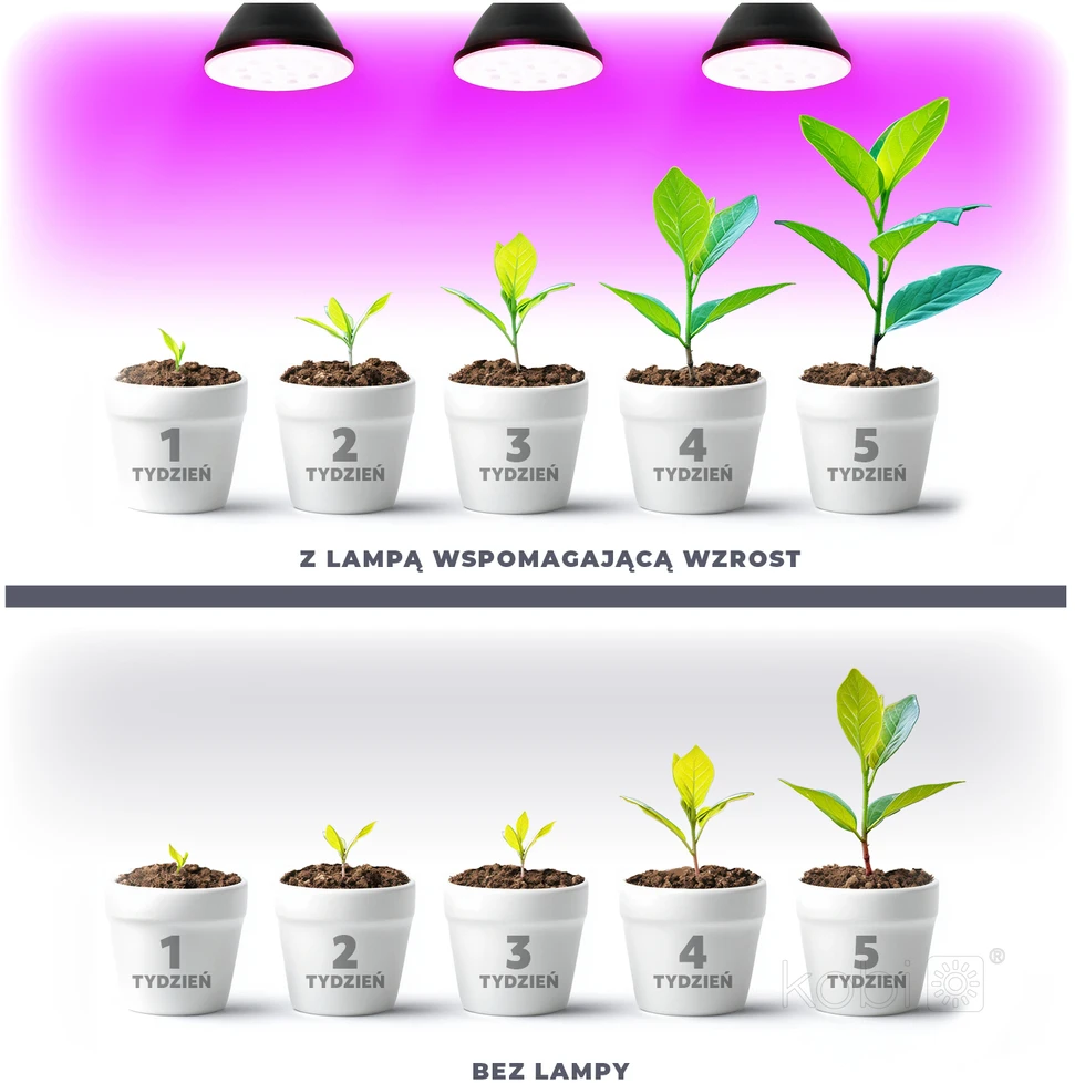 7W LED augalų auginimo lemputė PLANTY, E27, juoda, 1200K