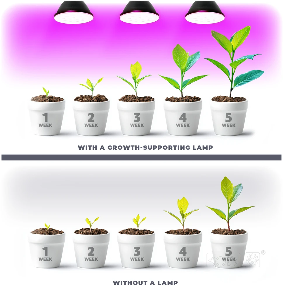 7W LED augalų auginimo lemputė PLANTY, E27, juoda, 1200K