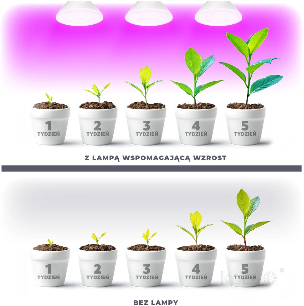7W LED augalų auginimo lemputė PLANTY, E27, balta, 1200K