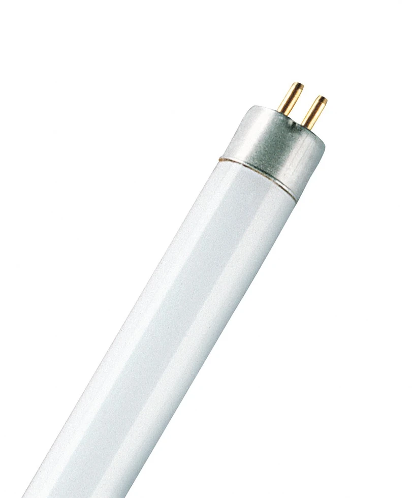 Osram 8W lempa Basic T5 trumpa, G5, 6500K, 302,5 mm
