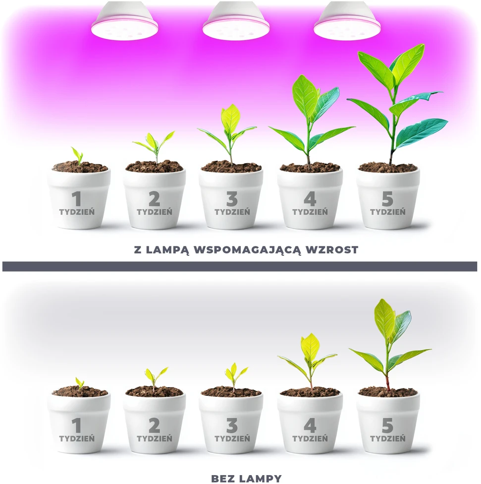 9W LED augalų auginimo lemputė PLANTY, E27, balta, 1200K