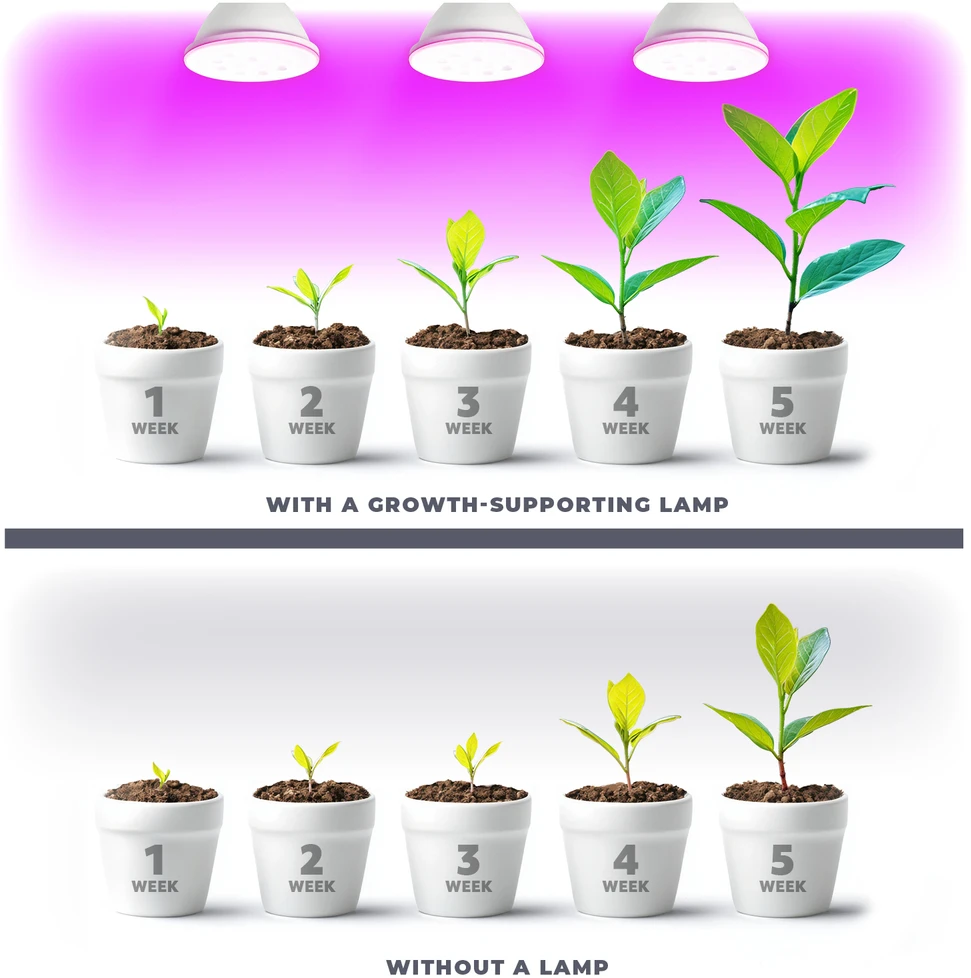 9W LED augalų auginimo lemputė PLANTY, E27, balta, 1200K
