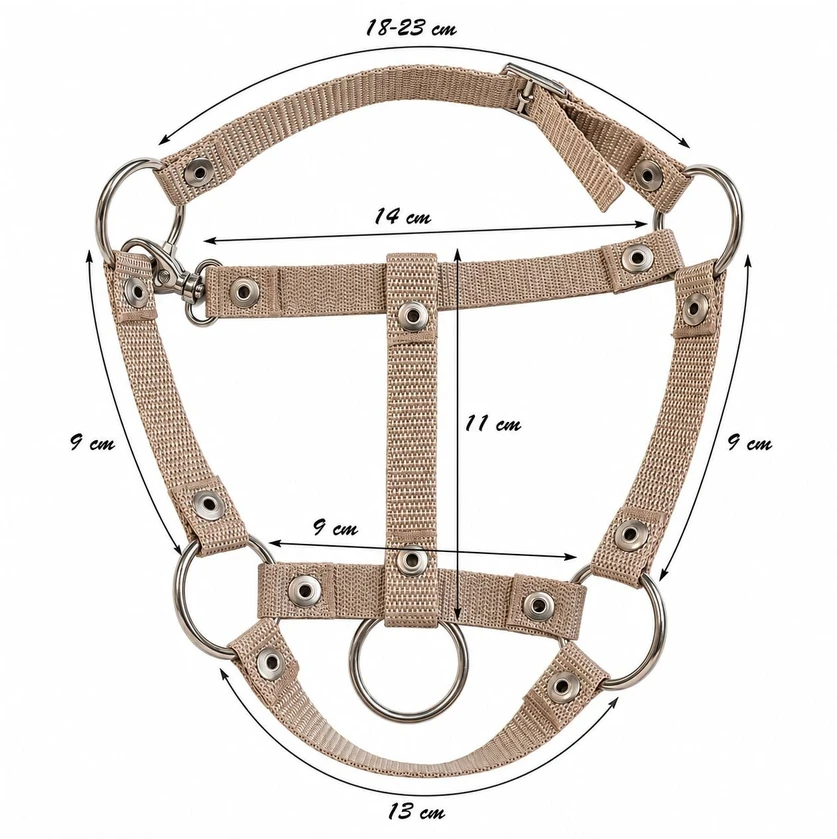 Super Hobby Horse Raitelio žirgo komplektas vaikams su pavadžiu, žalsvas
