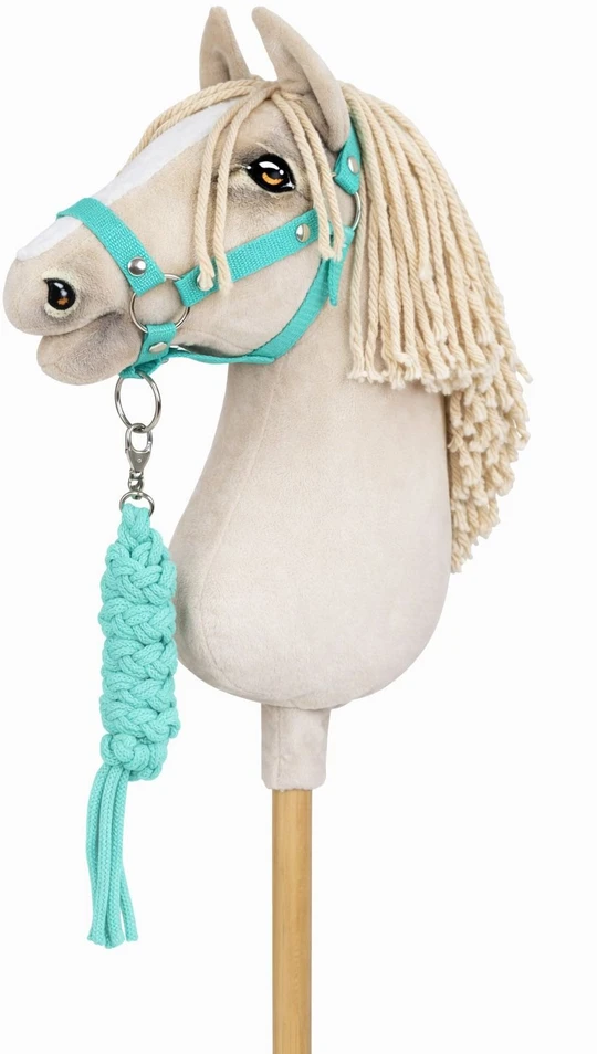 Super Hobby Horse Raitelio žirgo komplektas vaikams su pavadžiu, žalsvas
