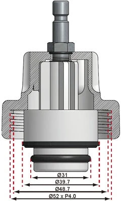 ADAPTERIS NR. 10, SKIRTAS BGS 8027, 8098 | BMW (8027-10)
