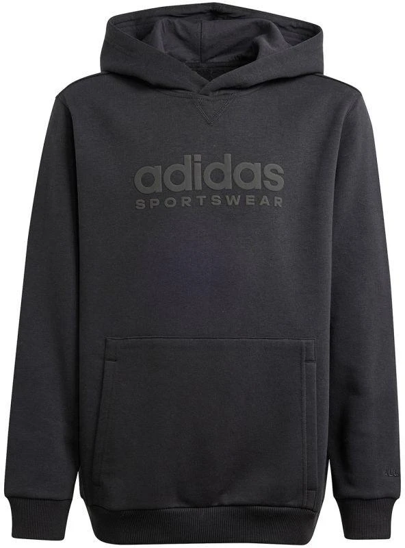 Adidas Allszn GFX HD Jr džemperis IS4661