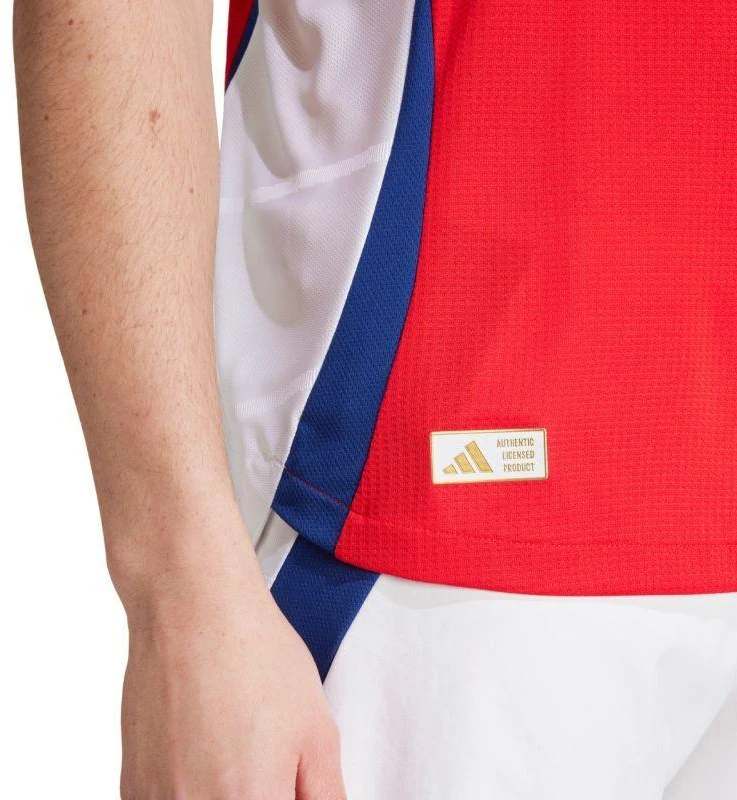 adidas Arsenal 24/25 Namų Autentiški Vyriški Marškinėliai Raudoni IT6140