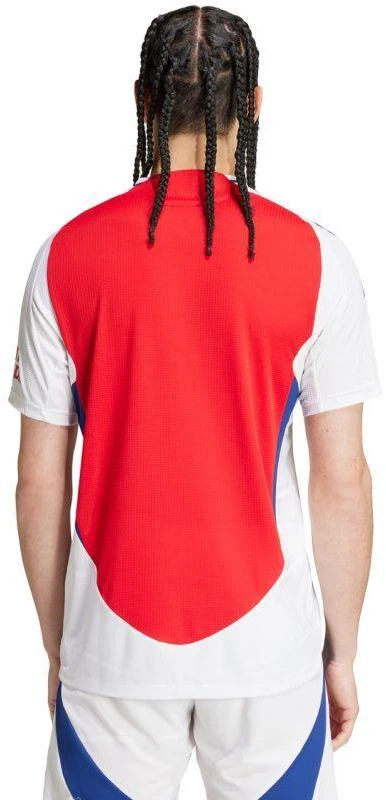 adidas Arsenal 24/25 Namų Autentiški Vyriški Marškinėliai Raudoni IT6140