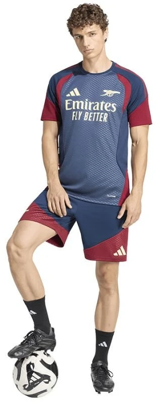 Adidas Arsenal Londono treniruočių marškinėliai
