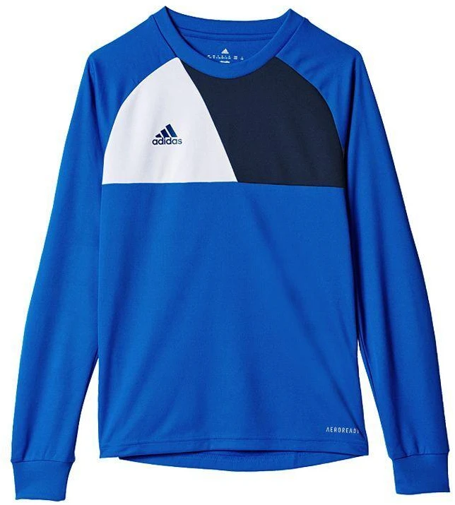 Džemperis berniukams Adidas Assita 17 Jr AZ5404, mėlynas