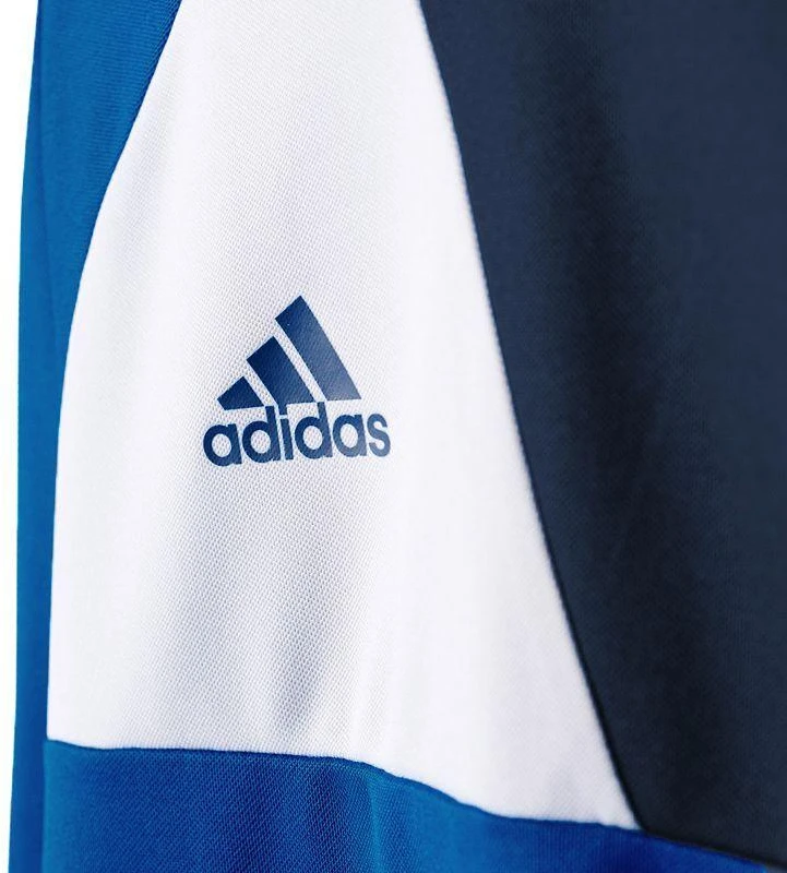 Džemperis berniukams Adidas Assita 17 Jr AZ5404, mėlynas