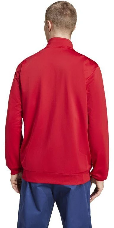 Adidas Bayern Munich DNA TT M IT4154 džemperis