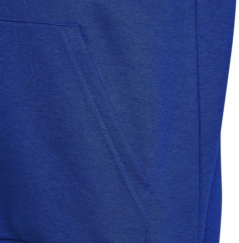 Adidas Big Logo Essentials džemperis Jr HN1912